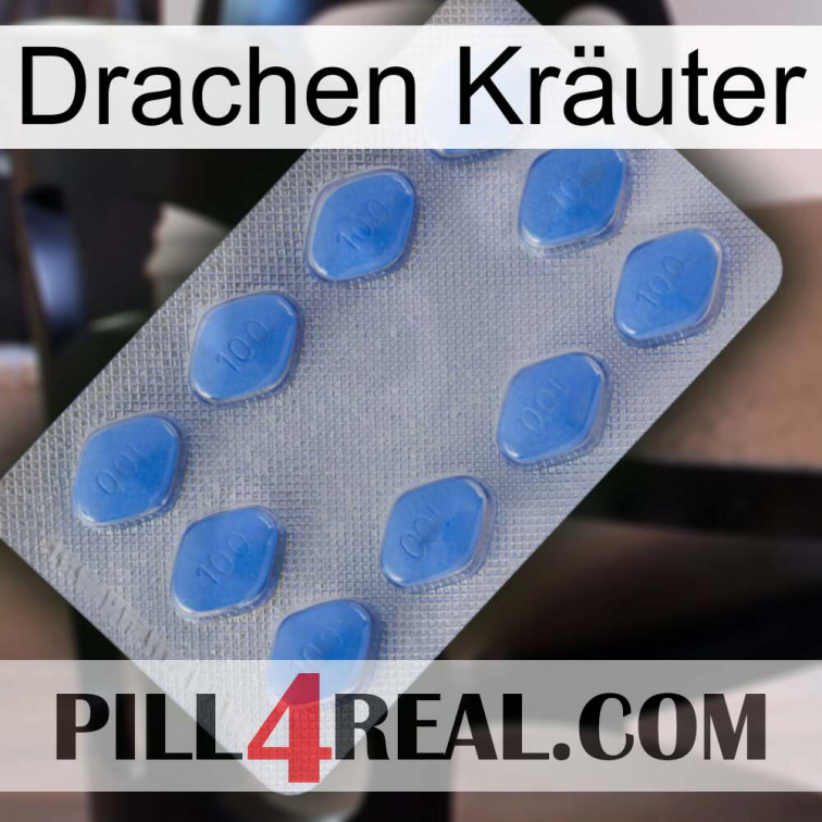 Drachen Kräuter 21